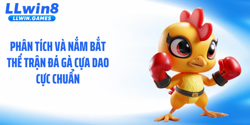 Đá Gà Cựa Dao: Sát Phạt Tốc Độ Khiến Người Xem Nghẹt Thở Phân tích và nắm bắt thế trận đá gà cựa dao cực chuẩn